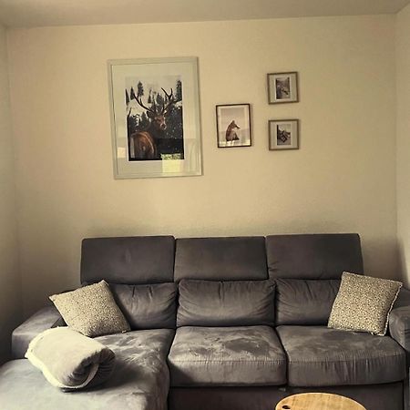 Buhl De Bonheur Villa Guebwiller Luaran gambar