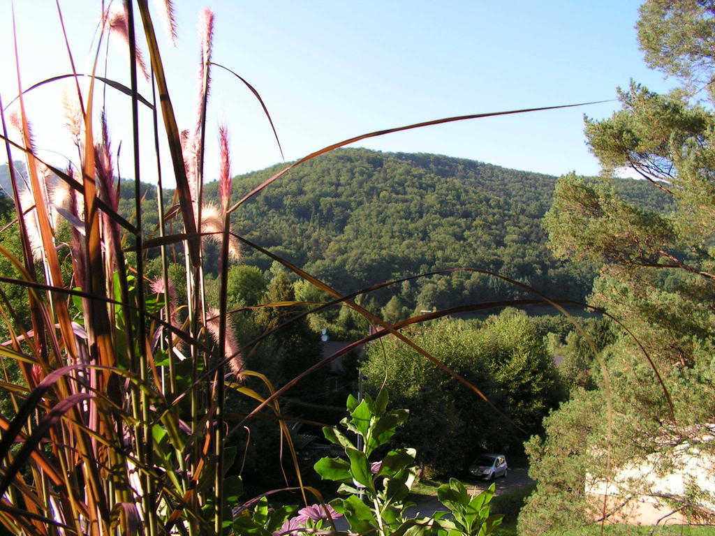 Buhl De Bonheur Villa Guebwiller Luaran gambar